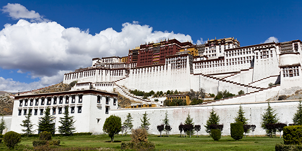 瑗胯棌鏈湡浼佷笟